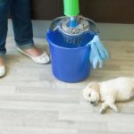 Why You Should Use An All-Natural Pet Cleaning Products