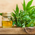 How to Determine the Right Dosage of CBD Vape Oil?